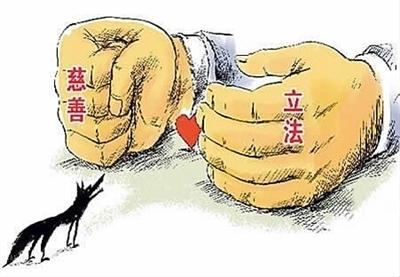 慈善组织的会计科目