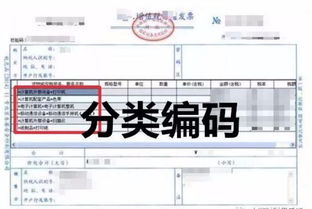 收购蔬菜收到发票会计科目