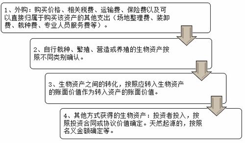 简述会计科目设计的原则与程序,简要说明会计科目和会计账户之间的关系,简要说明会计科目与账户的关系