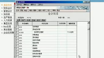 辅助,会计科目,设置,内容