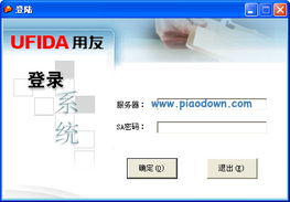 2013小会计科目预置