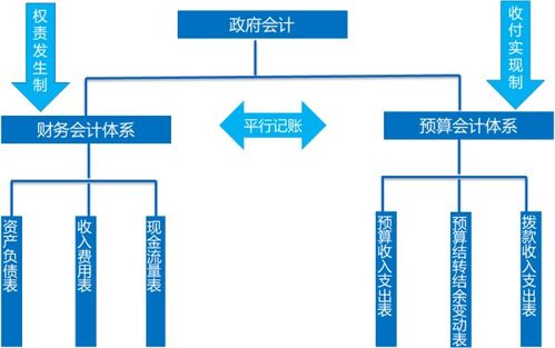 会计科目,政府