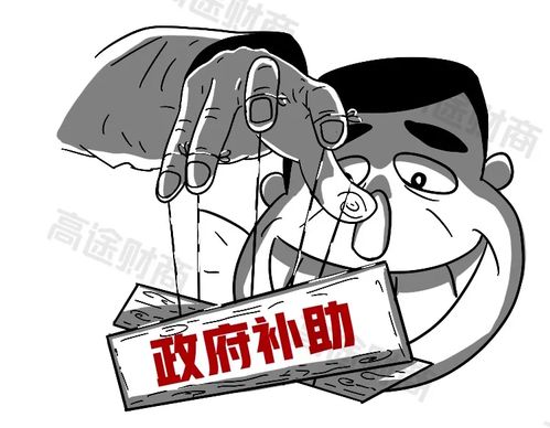 补贴,会计科目,政府