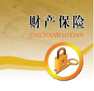 财产保险费计入什么会计科目,年度财产保险费计入会计科目,财产保险费的会计科目