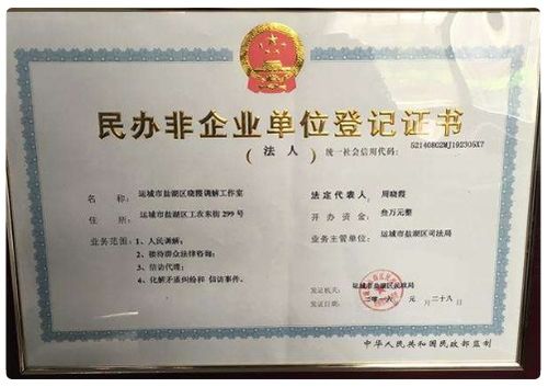 民办非企业单位会计科目及会计报表,民办非企业单位做账的会计科目,民办非企业单位会计科目及账务处理