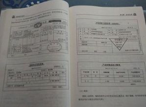 个税延报罚款计入哪个会计科目