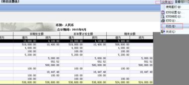 余额,会计科目,u8