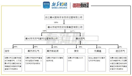 天然气,管道,会计科目,供应