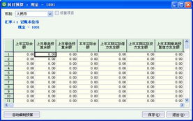 下设,核算,会计科目,项目