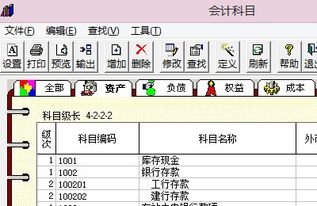 用友,增加,会计科目,软件