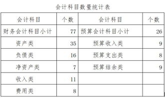 政府会计科目是什么意思