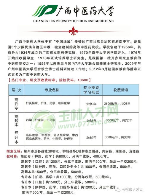 茶杯,用于,执行,会计科目