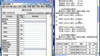 会计科目录入方式