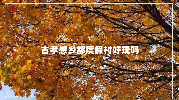 古孝感乡都度假村好玩吗