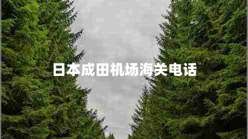 日本成田机场海关电话