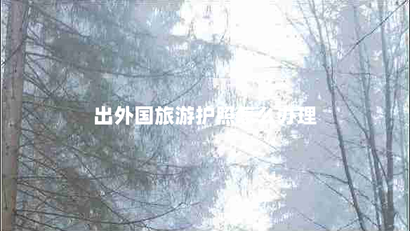 出外国旅游护照怎么办理 出外国旅游护照怎么办理