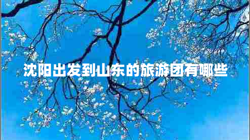 沈阳出发到山东的旅游团有哪些