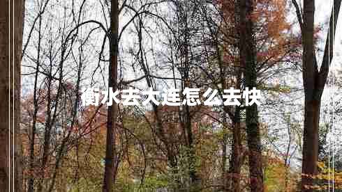 衡水去大连怎么去快 衡水去大连怎么去快