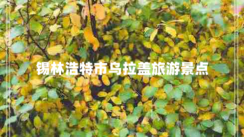 锡林浩特市乌拉盖旅游景点