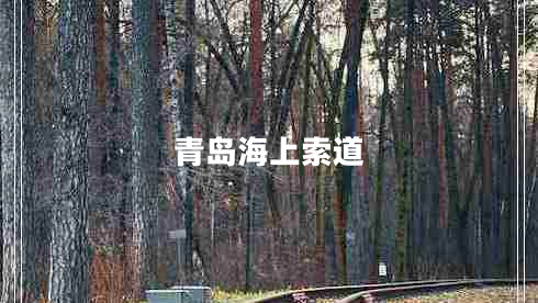 青岛海上索道