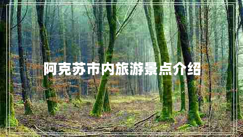 阿克苏市内旅游景点介绍
