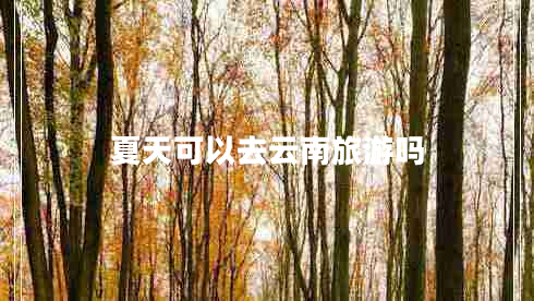 夏天可以去云南旅游吗