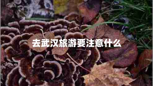 去武汉旅游要注意什么