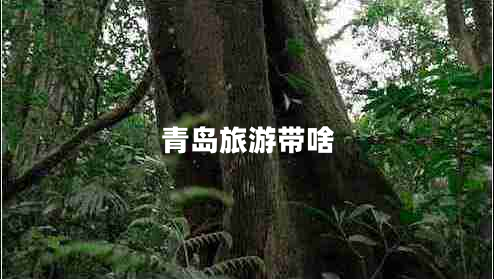 青岛旅游带啥 青岛旅游带啥