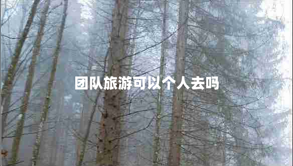 团队旅游可以个人去吗