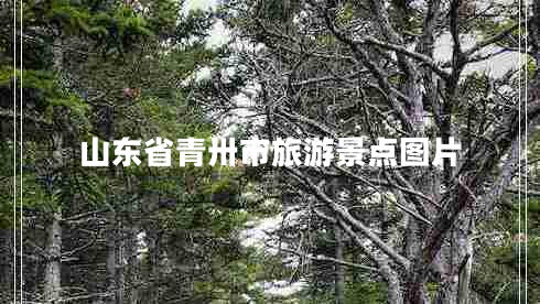 山东省青卅市旅游景点图片