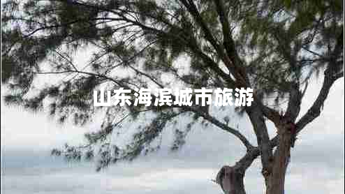 山东海滨城市旅游