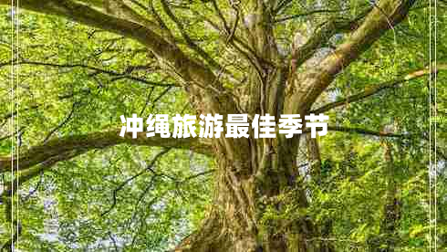 冲绳旅游最佳季节 冲绳旅游最佳季节