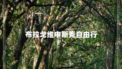 布拉戈维申斯克自由行
