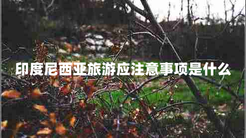 印度尼西亚旅游应注意事项是什么