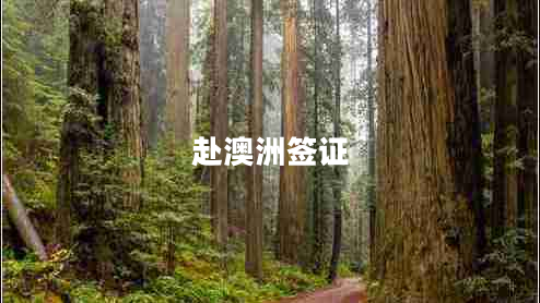 赴澳洲签证