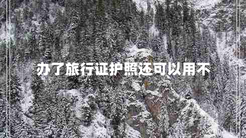 办了旅行证护照还可以用不