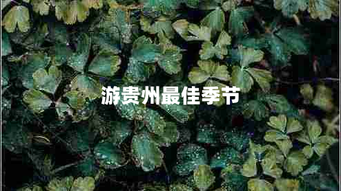 游贵州最佳季节