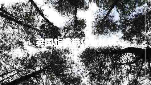 英国旅游带什么礼物