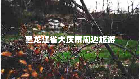 黑龙江省大庆市周边旅游