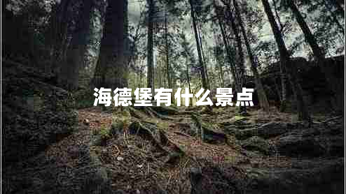 海德堡有什么景点