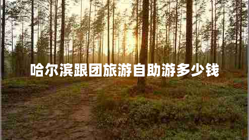 哈尔滨跟团旅游自助游多少钱