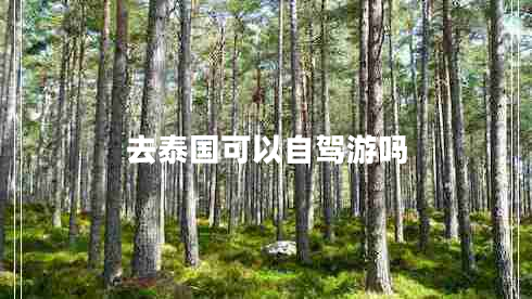 去泰国可以自驾游吗