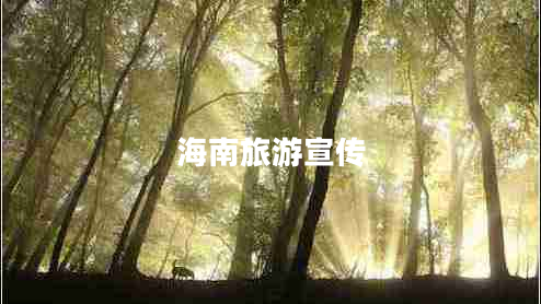 海南旅游宣传