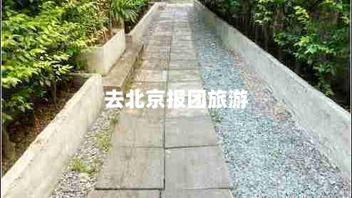 去北京报团旅游