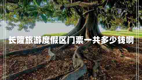 长隆旅游度假区门票一共多少钱啊