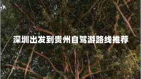 深圳出发到贵州自驾游路线推荐