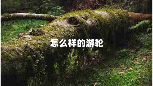 怎么样的游轮