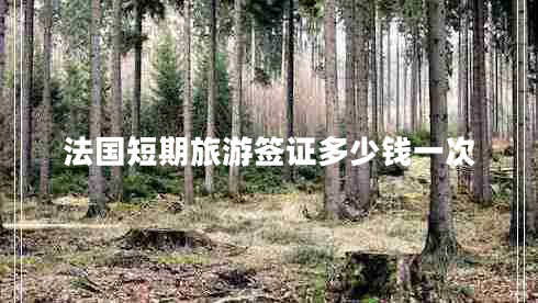 法国短期旅游签证多少钱一次