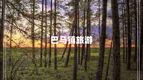 巴马镇旅游