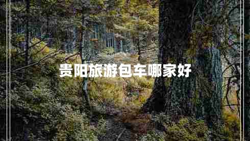 贵阳旅游包车哪家好